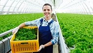 Agroalimentaire
